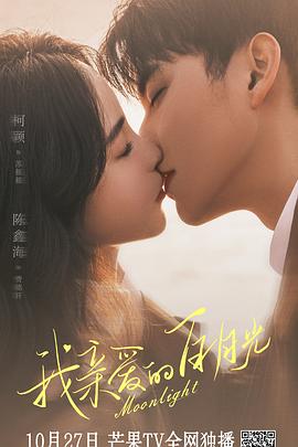 蜘蛛屯郑州网站优化排名