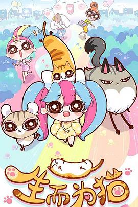 新安县seo优化排名